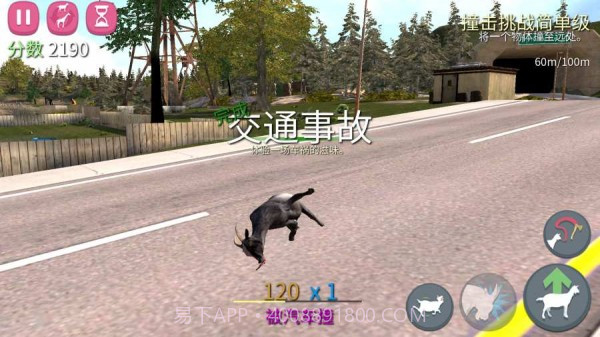 羊你太美截图2 羊你太美截图2