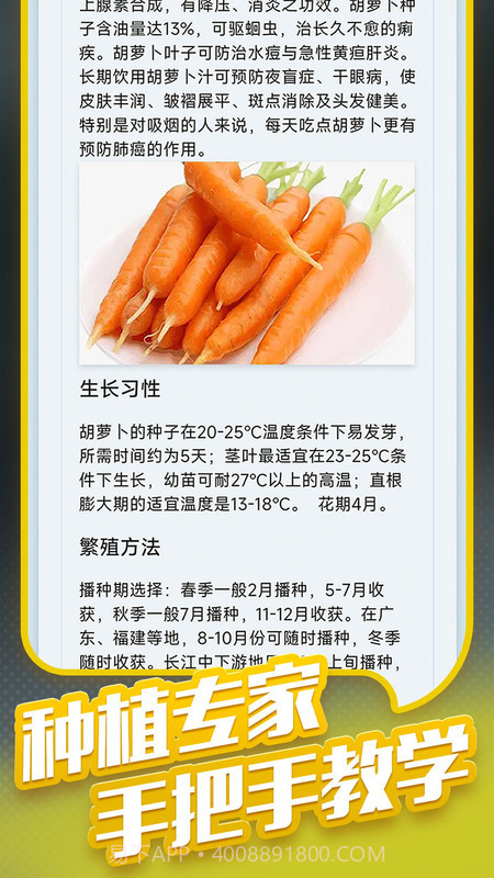 种菜专业户截图2 种菜专业户截图2