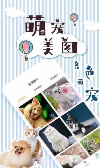 人猫翻译交流器截图4