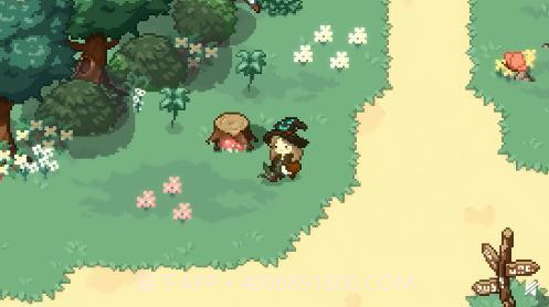 林中小女巫截图2 林中小女巫截图2