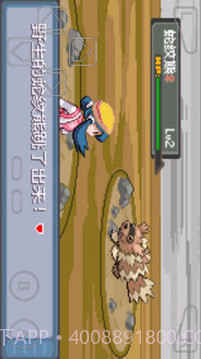 口袋妖怪暗兽神截图4