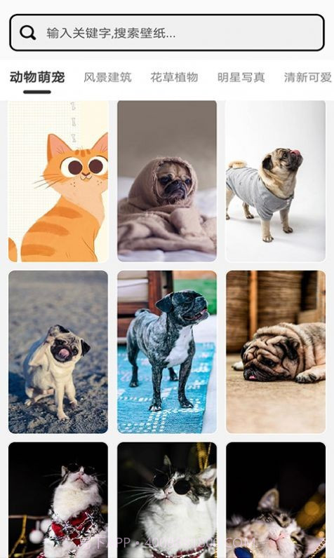 元气小组件截图3 元气小组件截图3