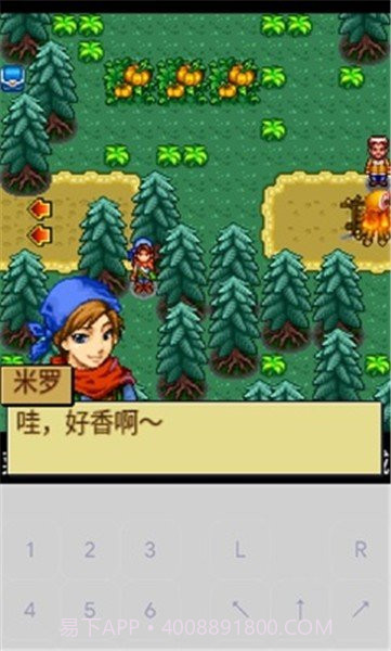 宠物王国4白金截图3