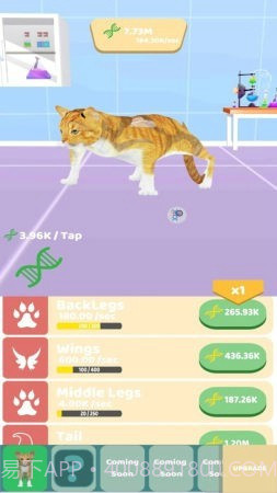 动物进化实验截图2 动物进化实验截图2