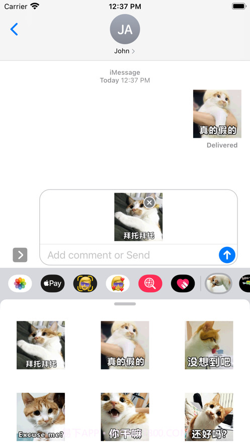 小麦的日常篇截图4 小麦的日常篇截图4