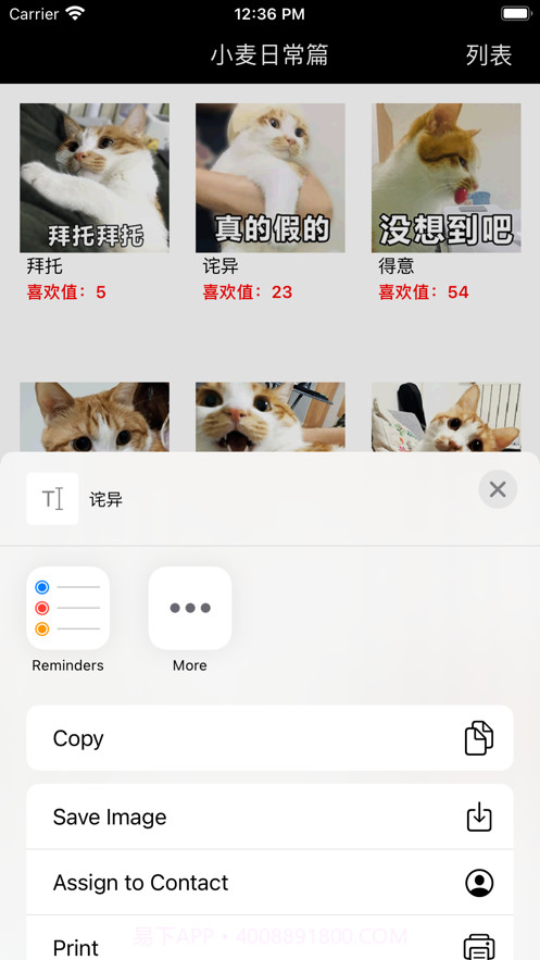 小麦的日常篇截图2 小麦的日常篇截图2