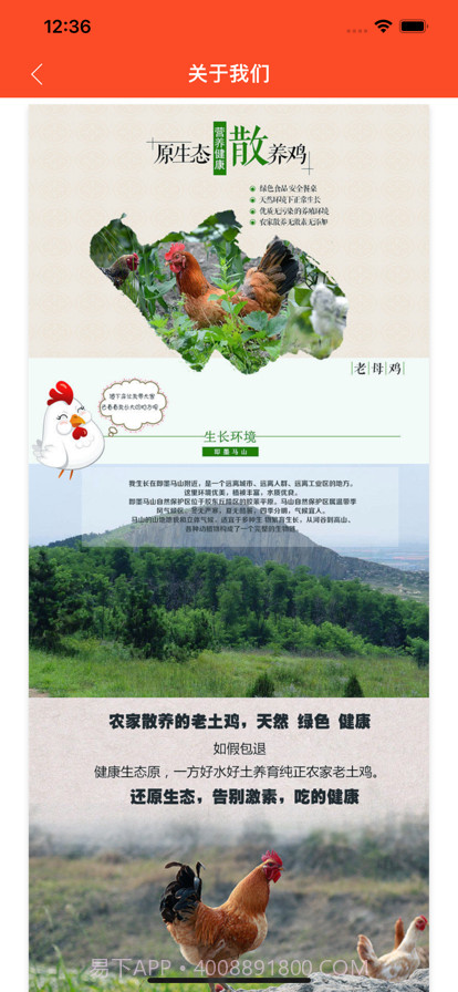 有山截图2 有山截图2