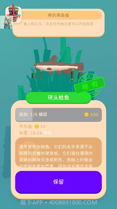 我的钓鱼生活免广告版截图3