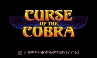 眼镜蛇的诅咒截图2