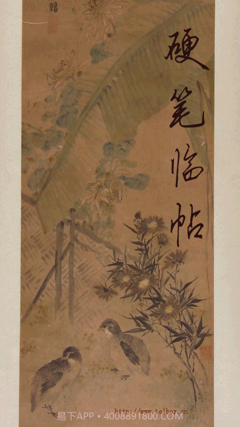 硬笔临帖截图3 硬笔临帖截图3