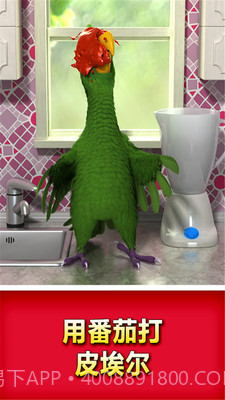 会说话的鹦鹉截图3 会说话的鹦鹉截图3