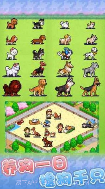 发现狗狗乐园游戏截图3 发现狗狗乐园游戏截图3