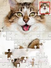 智能拼图游戏1000截图2 智能拼图游戏1000截图2