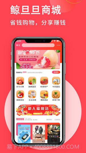 鲸旦旦截图2 鲸旦旦截图2