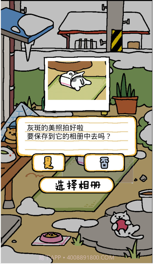 猫咪后院APP截图3 猫咪后院APP截图3