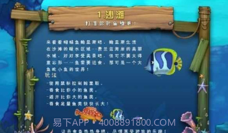 吞食鱼Feeding Frenzy截图2 吞食鱼Feeding Frenzy截图2