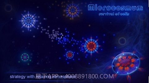 微细胞进化模拟器截图2 微细胞进化模拟器截图2