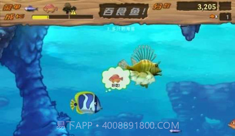 吞食鱼Feeding Frenzy截图1 吞食鱼Feeding Frenzy截图1