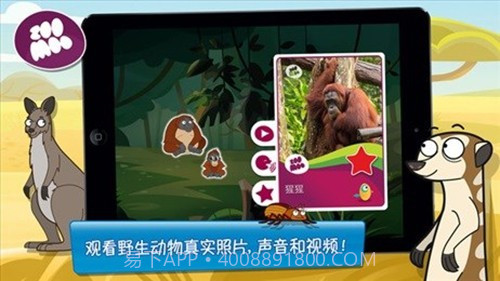 动物好伙伴最新版截图3 动物好伙伴最新版截图3