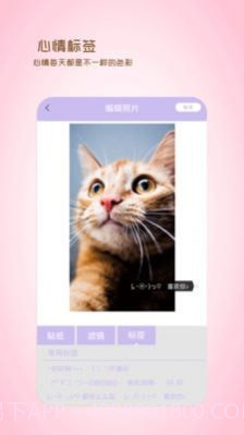 全能美日相机截图2