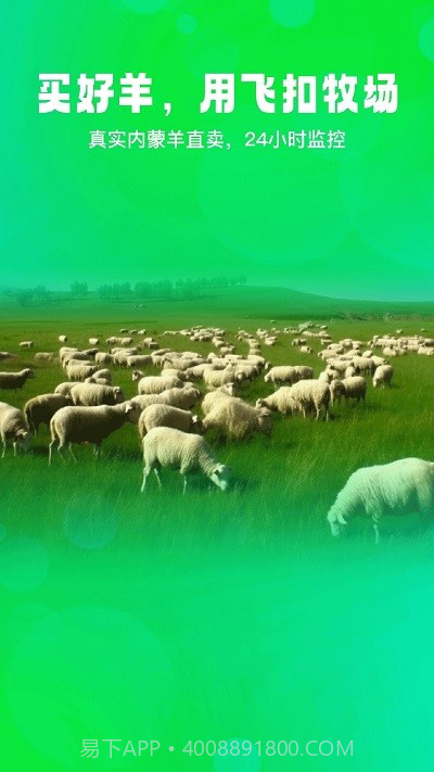 飞扣牧场截图4