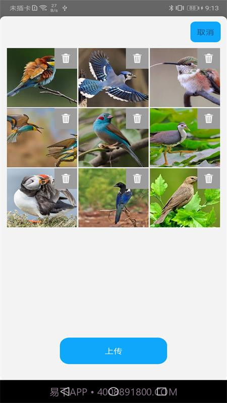 智能相框截图3 智能相框截图3