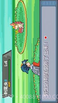 口袋妖怪:极光石截图4 口袋妖怪:极光石截图4