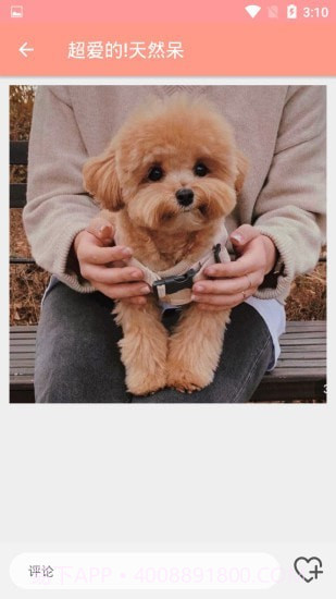 萌物集截图3 萌物集截图3