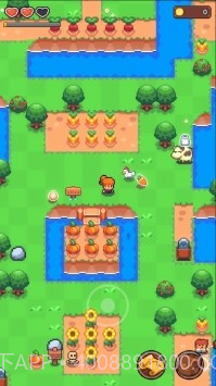 夏日时光探索小岛截图3 夏日时光探索小岛截图3