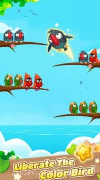 彩色鸟排序截图2