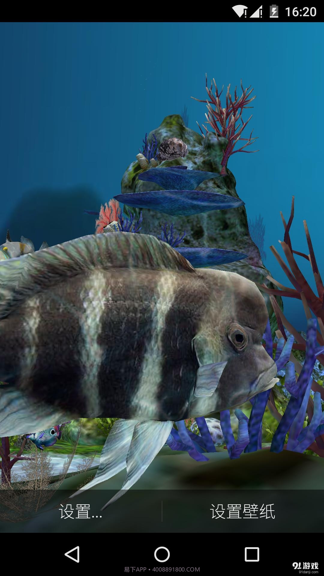 3D水族馆 梦象动态壁纸截图4
