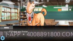 里娜爱情故事截图1