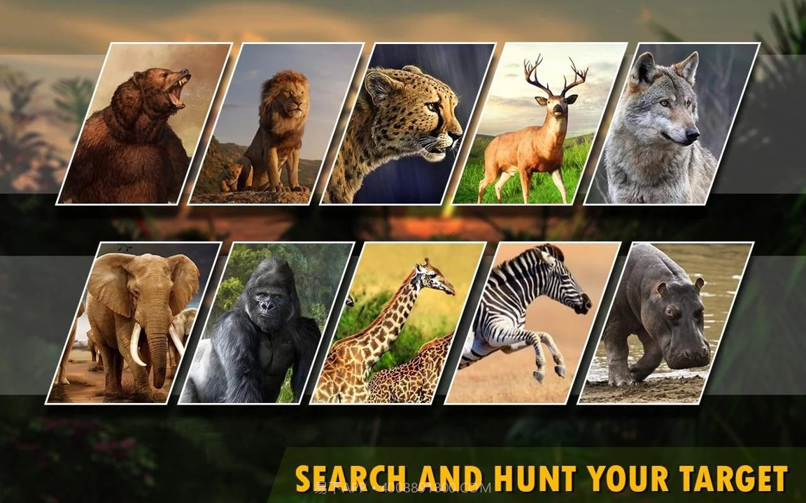 动物猎人2020单机版截图3 动物猎人2020单机版截图3