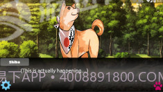 里娜爱情故事截图4