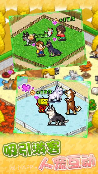 发现狗狗乐园截图4 发现狗狗乐园截图4