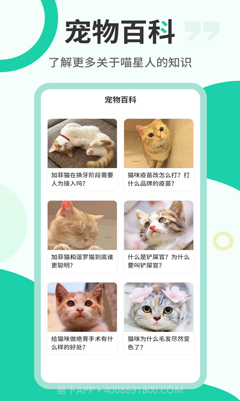 猫语翻译机截图5