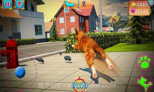 可爱猫大冒险截图1