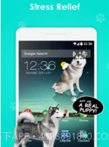 手机屏幕养狗截图2