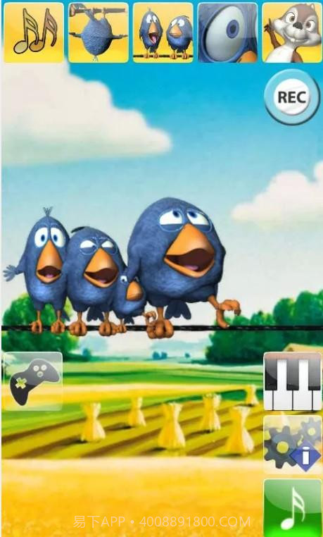 电线上会说话的小鸟截图5