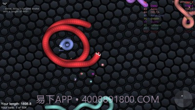 球球大作战贪吃蛇截图4 球球大作战贪吃蛇截图4