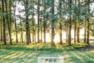 遍地都是妖精app截图3