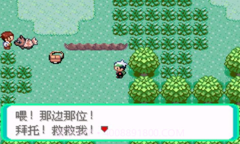 口袋妖怪：超级绿宝石8.0（悟饭）截图2