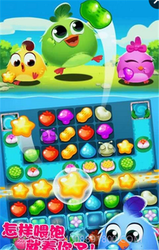 小鸡爆破3截图2