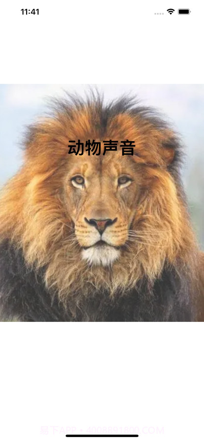 动物声截图1 动物声截图1