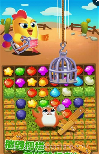 小鸡爆破3截图1