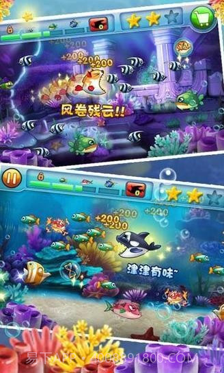 大鱼吃小鱼2中文版截图2 大鱼吃小鱼2中文版截图2