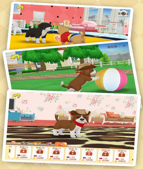 心动小狗伙伴截图2 心动小狗伙伴截图2