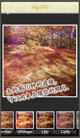 我的365天截图3 我的365天截图3