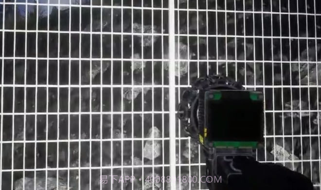 诡异动物园完整版截图1 诡异动物园完整版截图1