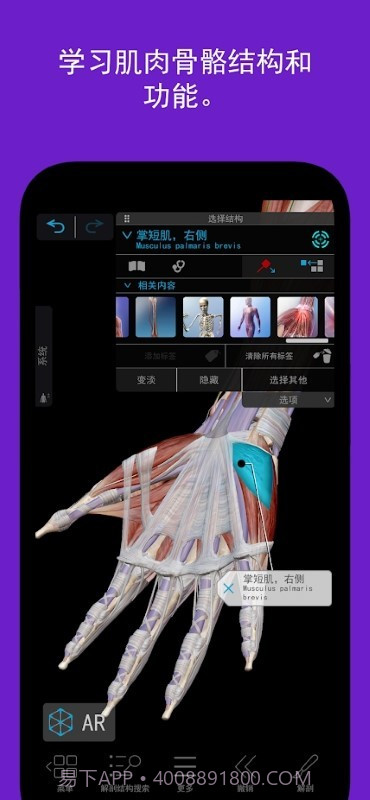 人体解剖学图谱截图2